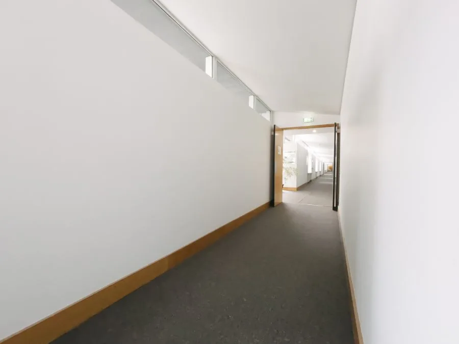 A clean, well-maintained office hallway, a result of reliable government cleaning services.